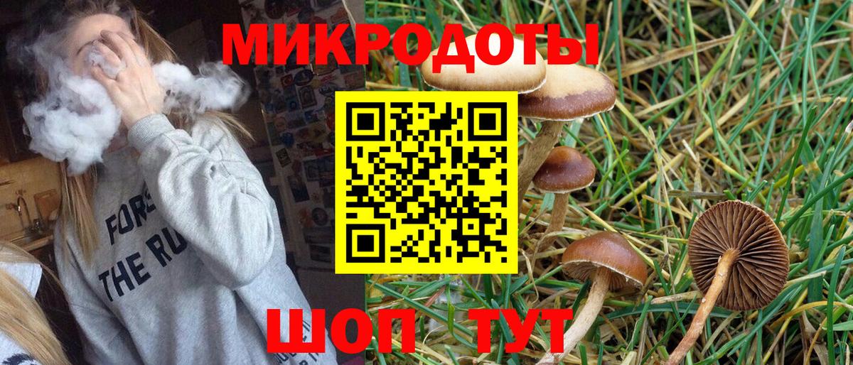 Галлюциногенные грибы мухоморы Ржев