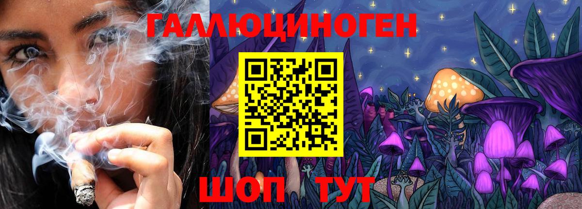 Ржев  Псилоцибиновые грибы Cubensis  Галлюциногенные грибы Psilocybine cubensis  Вход с VPN 
